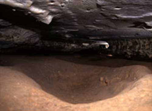 Passage des ours